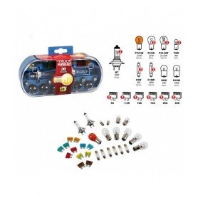 Estuche / Juego Lamparas Doble H7 24V